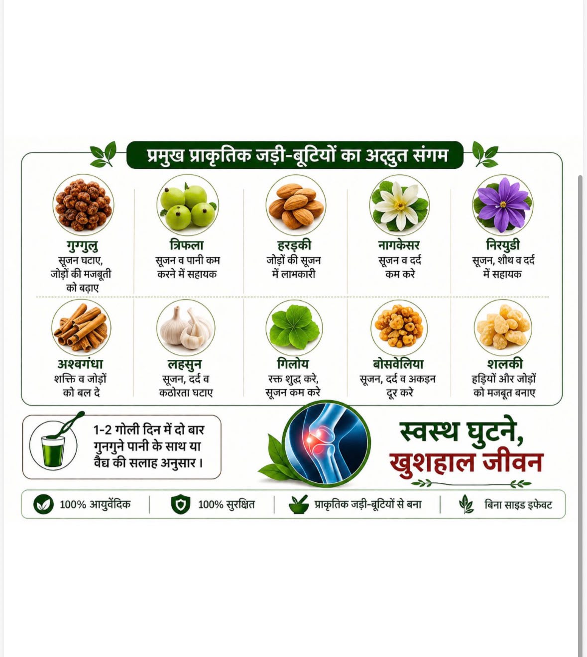 Shree Ram Ghutna Dard Vati